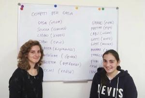 Фотография Lingua Penguin 5