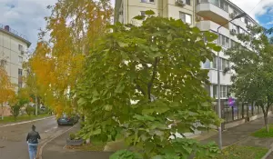 Фотография Enver Land 5