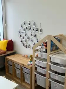 Фотография Симба 0